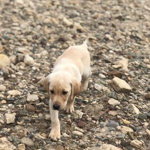 Meet your Posher, Jada